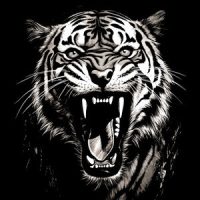 Tigris