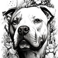 Staffordshire Bull Terrier