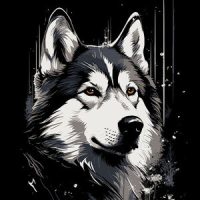 Husky