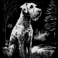 Airdale Terrier