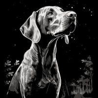 Angol Pointer