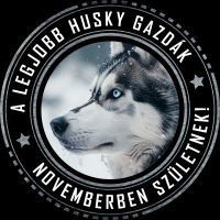 A legjobb gazdák