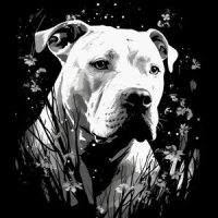 Argentin Dog