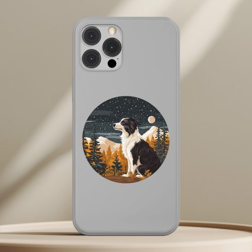 Border Collie telefontok (Mesés)