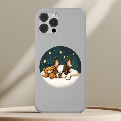 Boston Terrier telefontok (Mesés)