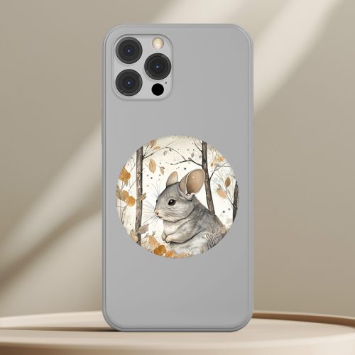 Csincsilla telefontok (Mesés)