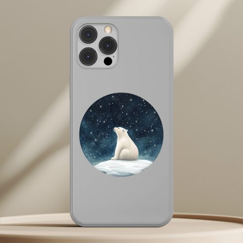 Jegesmedve telefontok (Mesés)