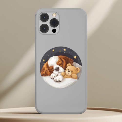 Cavalier King Charles Spániel telefontok (Mesés)